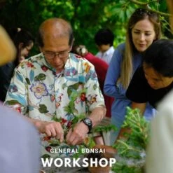 General Bonsai Workshop