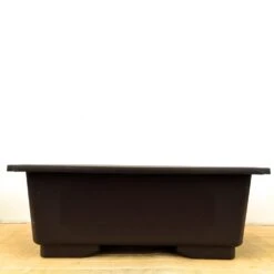 Deep Rectangle Plastic Bonsai Pot (57cm) -BonsaiHub Shop IMG 21061