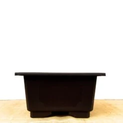 Deep Rectangle Plastic Bonsai Pot (57cm) -BonsaiHub Shop IMG 21071