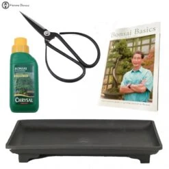 Indoor Bonsai Care Set