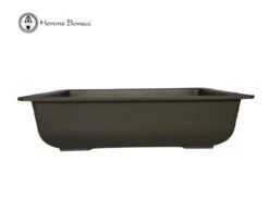 Shallow Rectangle Plastic Bonsai Pot