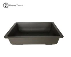 Shallow Rectangle Plastic Bonsai Pot -BonsaiHub Shop Screen Shot 20190129 at 14.44.371