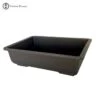 Shallow Rectangle Plastic Pot -BonsaiHub Shop Screen Shot 20190308 at 09.45.251