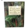 Palms & Cycads Of The World By Lynette Stewart