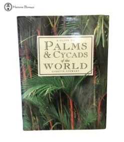 Palms & Cycads Of The World By Lynette Stewart