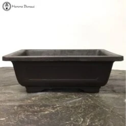 Rectangle Mica Bonsai Pot (53.5cm) -BonsaiHub Shop Screen Shot 20191017 at 15.16.171 1