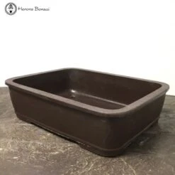 Rectangle Mica Bonsai Pot (32.5cm) -BonsaiHub Shop Screen Shot 20191018 at 10.58.111