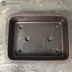 Rectangle Mica Bonsai Pot (32.5cm) -BonsaiHub Shop Screen Shot 20191018 at 10.58.531