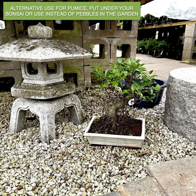 Pumice 16L 5 Pumice 16L - Image 3