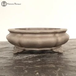 Unglazed Lotus Shaped Bonsai Pot (23cm) -BonsaiHub Shop Screenshot2023 10 24at0957241