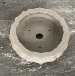Unglazed Lotus Shaped Bonsai Pot (23cm) -BonsaiHub Shop Screenshot2023 10 24at0958251