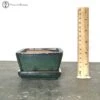 Bonsai Pot With Drip Tray (10cm) | Green Square -BonsaiHub Shop Screenshot2023 10 27at1142571