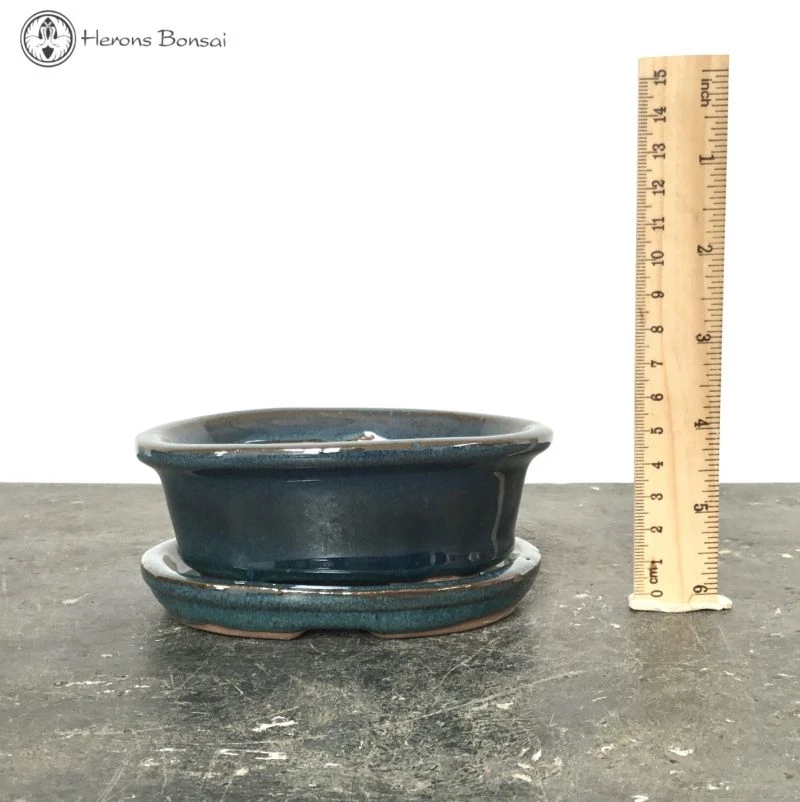 Bonsai Pot With Drip Tray (12.5cm) | Blue Oval 3 Bonsai Pot With Drip Tray (12.5cm) | Blue Oval
