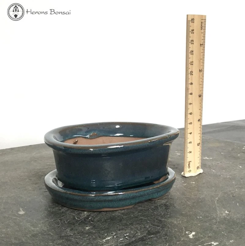 Bonsai Pot With Drip Tray (12.5cm) | Blue Oval 4 Bonsai Pot With Drip Tray (12.5cm) | Blue Oval - Image 2