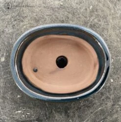 Bonsai Pot With Drip Tray (12.5cm) | Blue Oval 7 Bonsai Pot With Drip Tray (12.5cm) | Blue Oval -BonsaiHub Shop Screenshot2023 10 27at1259311