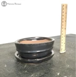 Bonsai Pot With Drip Tray (12.5cm) | Metallic Grey Oval -BonsaiHub Shop Screenshot2023 10 27at1315581