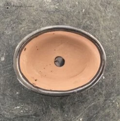 Bonsai Pot With Drip Tray (12.5cm) | Metallic Grey Oval -BonsaiHub Shop Screenshot2023 10 27at1316191