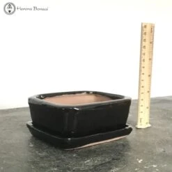 Bonsai Pot With Drip Tray (13cm) | Black Rectangular -BonsaiHub Shop Screenshot2023 10 27at1335371
