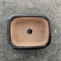 Bonsai Pot With Drip Tray (13cm) | Black Rectangular -BonsaiHub Shop Screenshot2023 10 27at1336001