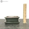 Bonsai Pot With Drip Tray (12cm) | Metallic Green Irregular -BonsaiHub Shop Screenshot2023 10 30at1232201