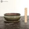 Olive Oval Bonsai Pot & Drip Tray (20cm) 2 Olive Oval Bonsai Pot & Drip Tray (20cm) -BonsaiHub Shop Screenshot2023 10 31at0947561