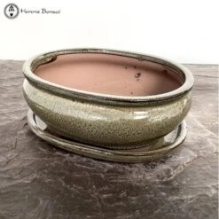 Olive Oval Bonsai Pot & Drip Tray (20cm) -BonsaiHub Shop Screenshot2023 10 31at0948311