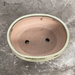 Olive Oval Bonsai Pot & Drip Tray (20cm) -BonsaiHub Shop Screenshot2023 10 31at0948571