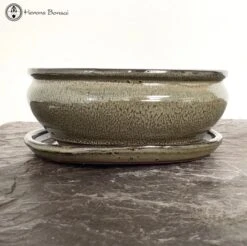 Olive Oval Bonsai Pot & Drip Tray (20cm) -BonsaiHub Shop Screenshot2023 10 31at094944