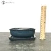 Bonsai Pot With Drip Tray (12.5cm) | Blue Rectangular With Rounded Corners 1 Bonsai Pot With Drip Tray (12.5cm) | Blue Rectangular With Rounded Corners -BonsaiHub Shop Screenshot2023 10 31at1115451