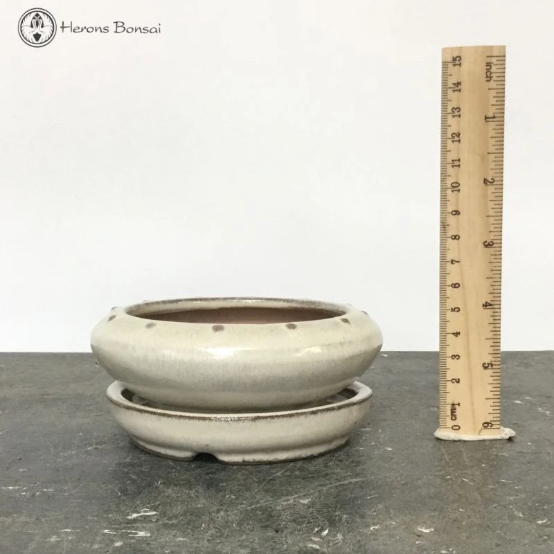 Bonsai Pot With Drip Tray (12cm) | Cream Round 3 Bonsai Pot With Drip Tray (12cm) | Cream Round