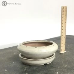 Bonsai Pot With Drip Tray (12cm) | Cream Round 6 Bonsai Pot With Drip Tray (12cm) | Cream Round -BonsaiHub Shop Screenshot2023 10 31at1144071
