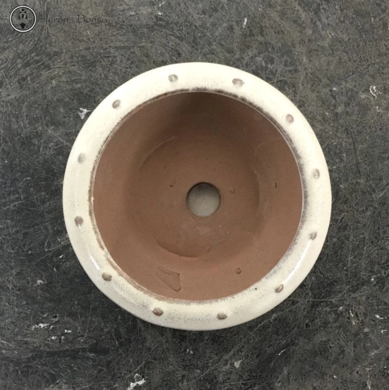 Bonsai Pot With Drip Tray (12cm) | Cream Round 5 Bonsai Pot With Drip Tray (12cm) | Cream Round - Image 3