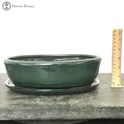 Green Oval Bonsai Pot & Drip Tray (27cm)