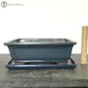 Blue Rectangular Bonsai Pot & Drip Tray (27cm) -BonsaiHub Shop Screenshot2023 11 01at1226101