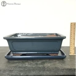 Blue Rectangular Bonsai Pot & Drip Tray (27cm)
