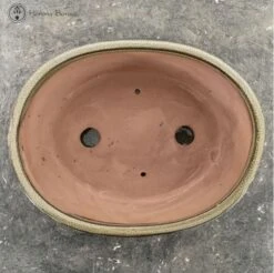 Olive Oval Bonsai Pot & Drip Tray (26cm) -BonsaiHub Shop Screenshot2023 11 01at1330261