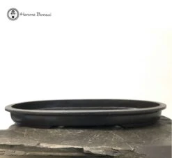 Mica Bonsai Pot | Shallow Oval (71cm) 7 Mica Bonsai Pot | Shallow Oval (71cm) -BonsaiHub Shop Screenshot 20191205 at 10.47.371
