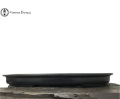 Mica Bonsai Pot | Shallow Oval (71cm) 9 Mica Bonsai Pot | Shallow Oval (71cm) -BonsaiHub Shop Screenshot 20191205 at 10.49.501