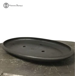 Mica Bonsai Pot | Shallow Oval (55cm)