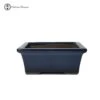 Blue Rectangle Ceramic Bonsai Pot (13cm) 1 Blue Rectangle Ceramic Bonsai Pot (13cm) -BonsaiHub Shop Screenshot 20200309 at 11.37.561