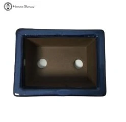 Blue Rectangle Ceramic Bonsai Pot (13cm) -BonsaiHub Shop Screenshot 20200309 at 11.40.191
