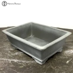 Silver Fox Matt Unglazed Bonsai Pot (21.5cm) -BonsaiHub Shop Screenshot 20210609 at 10.15.191 2