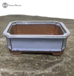 Blue Lotus Pot (15cm) | Tongrae