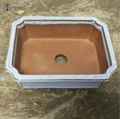 Blue Lotus Pot (15cm) | Tongrae -BonsaiHub Shop Screenshot 20210623 at 12.35.181