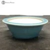Round Turquoise Crackle Glaze Ceramic Bonsai Pot (13cm) -BonsaiHub Shop Screenshot 20210714 at 11.35.121