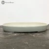 Shallow Cream Crackle Glaze Bonsai Pot (30.5cm) 2 Shallow Cream Crackle Glaze Bonsai Pot (30.5cm) -BonsaiHub Shop Screenshot 20210714 at 15.28.581
