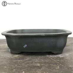 Silver Fox Matt Irregular Bonsai Pot (30cm) | Tokoname