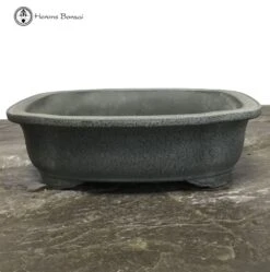 Silver Fox Matt Irregular Bonsai Pot (24cm) | Tokoname