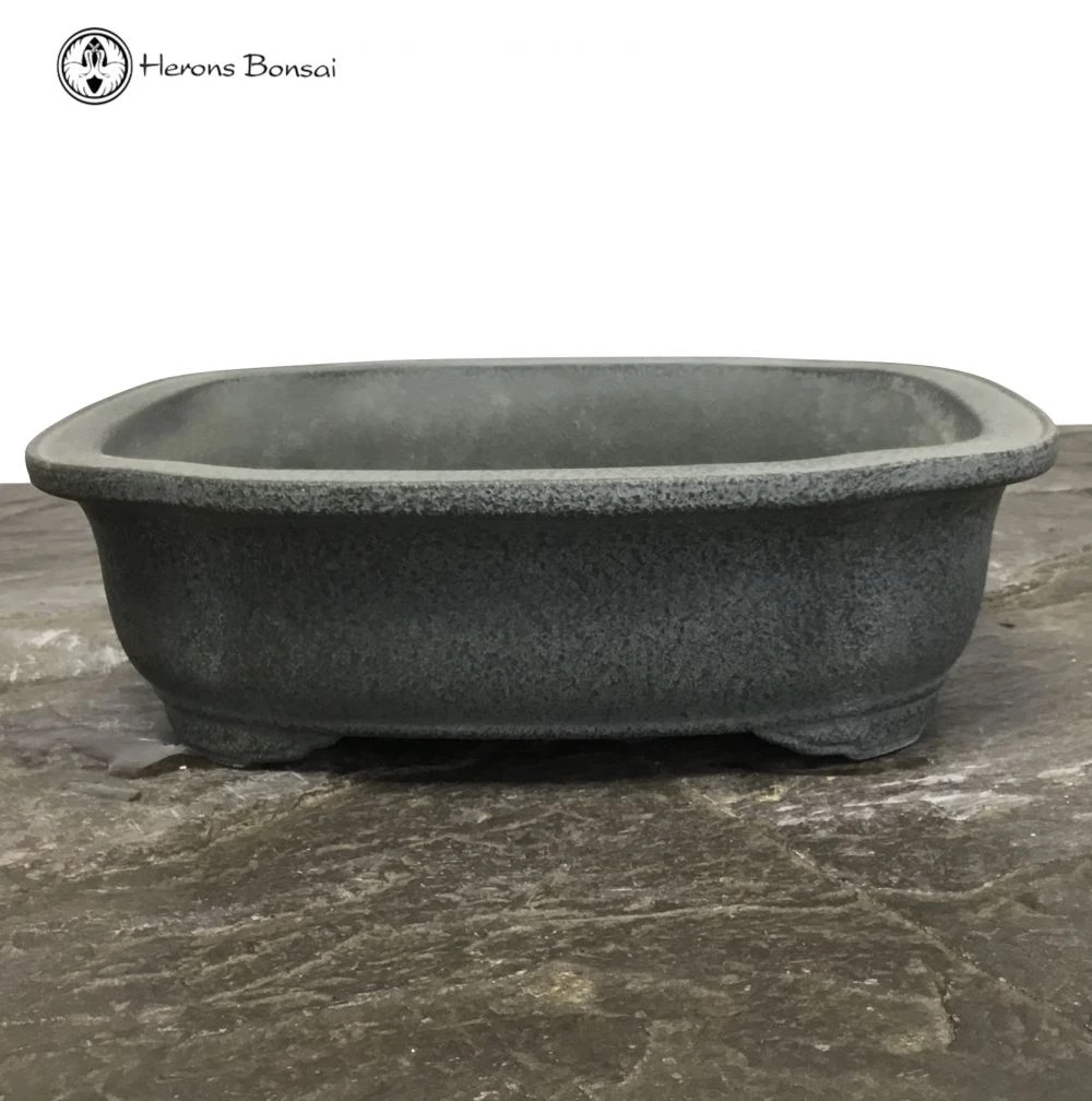 Silver Fox Matt Irregular Bonsai Pot (24cm) | Tokoname 3 Silver Fox Matt Irregular Bonsai Pot (24cm) | Tokoname