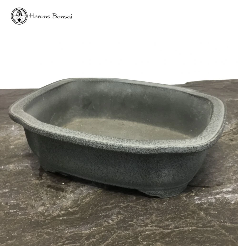 Silver Fox Matt Irregular Bonsai Pot (24cm) | Tokoname 4 Silver Fox Matt Irregular Bonsai Pot (24cm) | Tokoname - Image 2